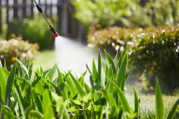 24/7 Emergency Wasp Removal experts in Jackson, MN