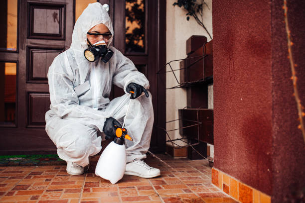 Reliable Wasp Removal contractor in Jackson, MN by Show Me Pest Control